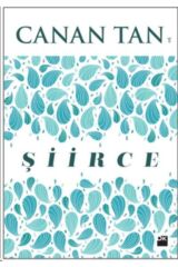Şiirce