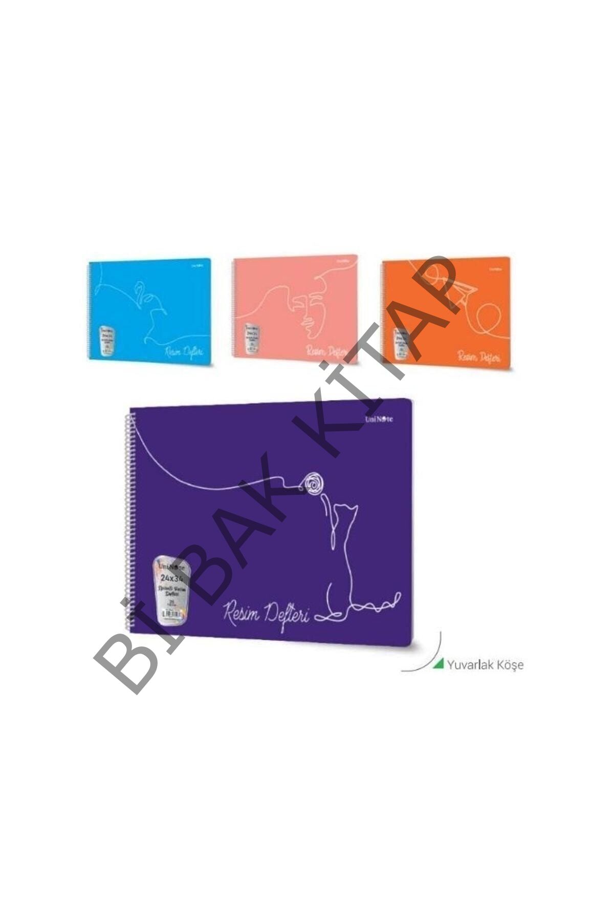 Çınar Resim Defteri Spiralli Plastik Kapak 25 Yp 24x34 33006