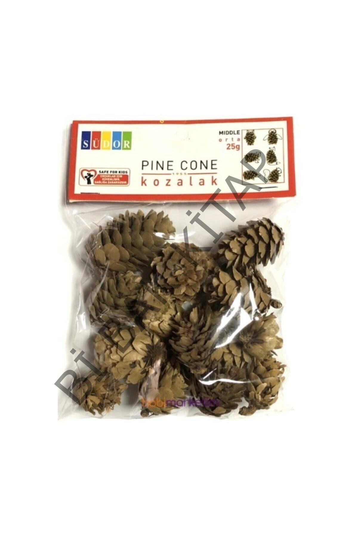 Doğal Çam Kozalakları Orta Boy 25gr